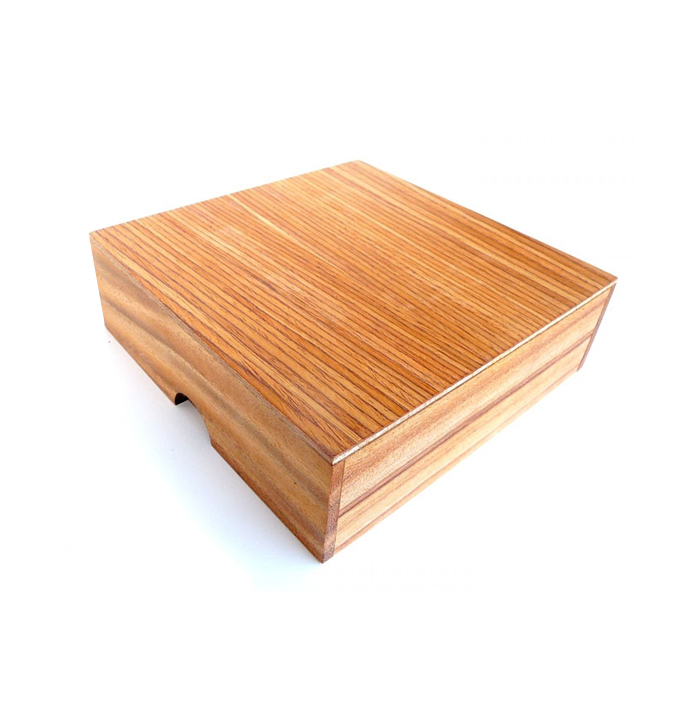 Productvisuals_Breinbrekers-Leonardos-Mind-Houten-Puzzel-Set-3-1