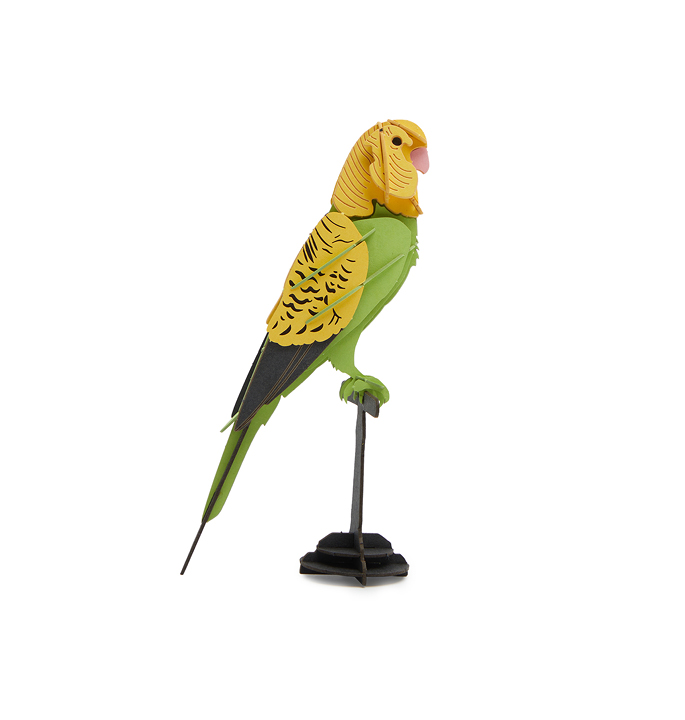 Productvisuals_Modelbouw-Cupuz-Parkiet-2-1