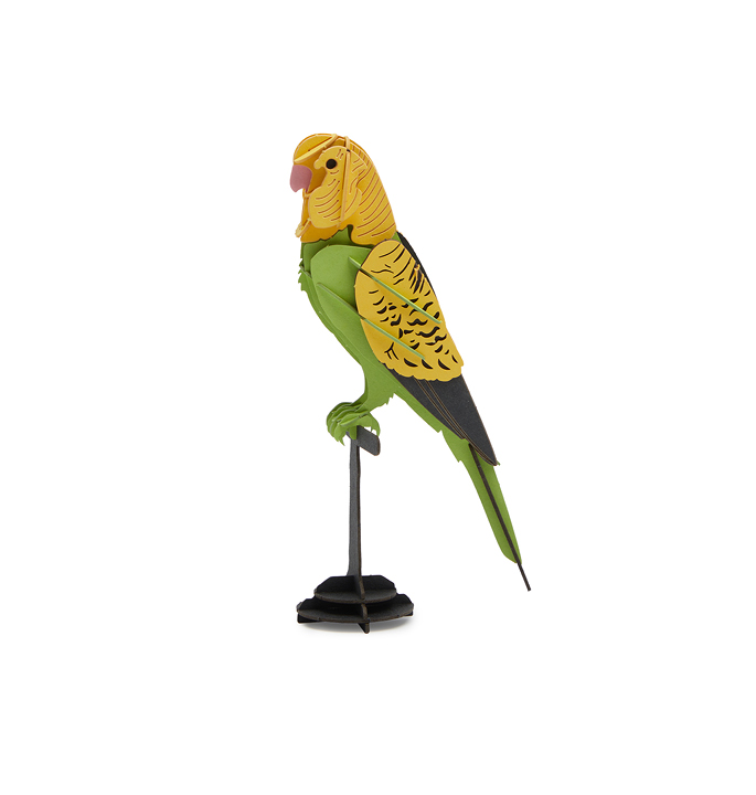 Productvisuals_Modelbouw-Cupuz-Parkiet-3-1