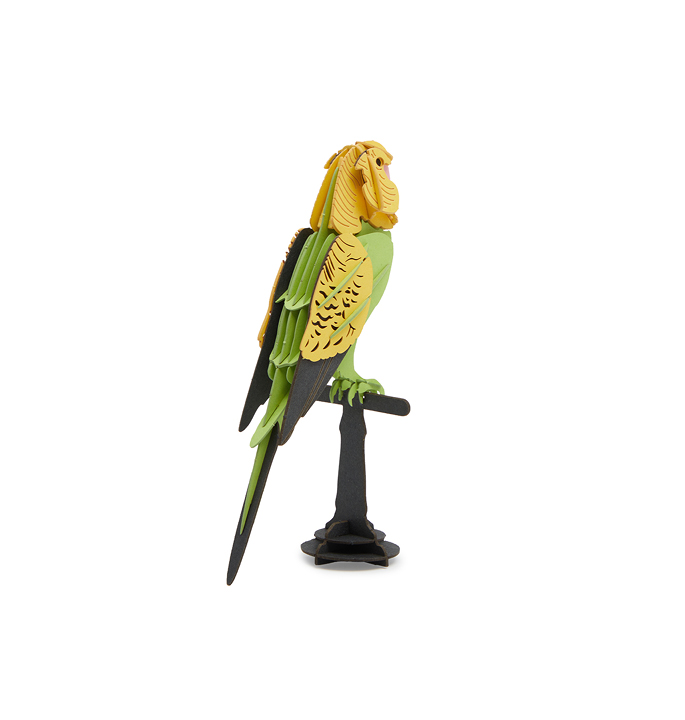 Productvisuals_Modelbouw-Cupuz-Parkiet-4-1