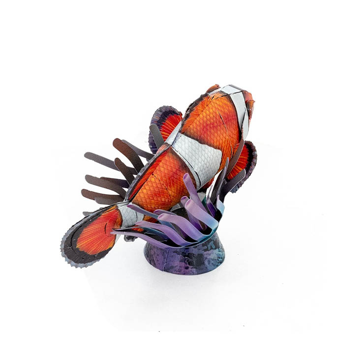 Productvisuals_Modelbouw-Metal-Earth-Clown-Fish-3