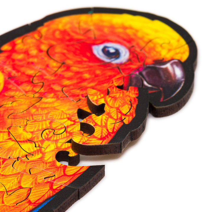 Productvisuals_Puzzels-UNIDRAGON-Playful-Parrots8-1